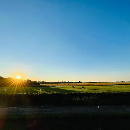 Elements The Luxe En