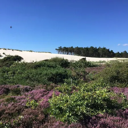 Villa Elements The Luxe En