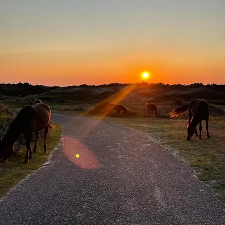 Elements The Luxe En