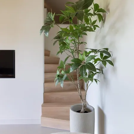 Elements The Luxe En Villa