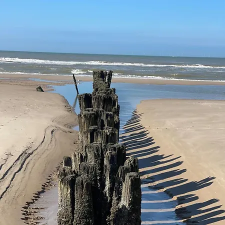 Elements The Luxe En Villa