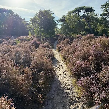 Elements The Luxe En *