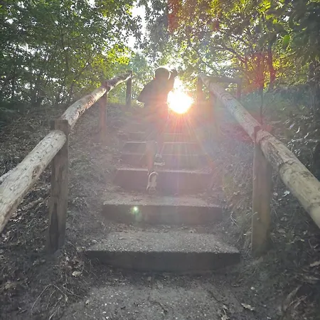 Elements The Luxe En Bergen